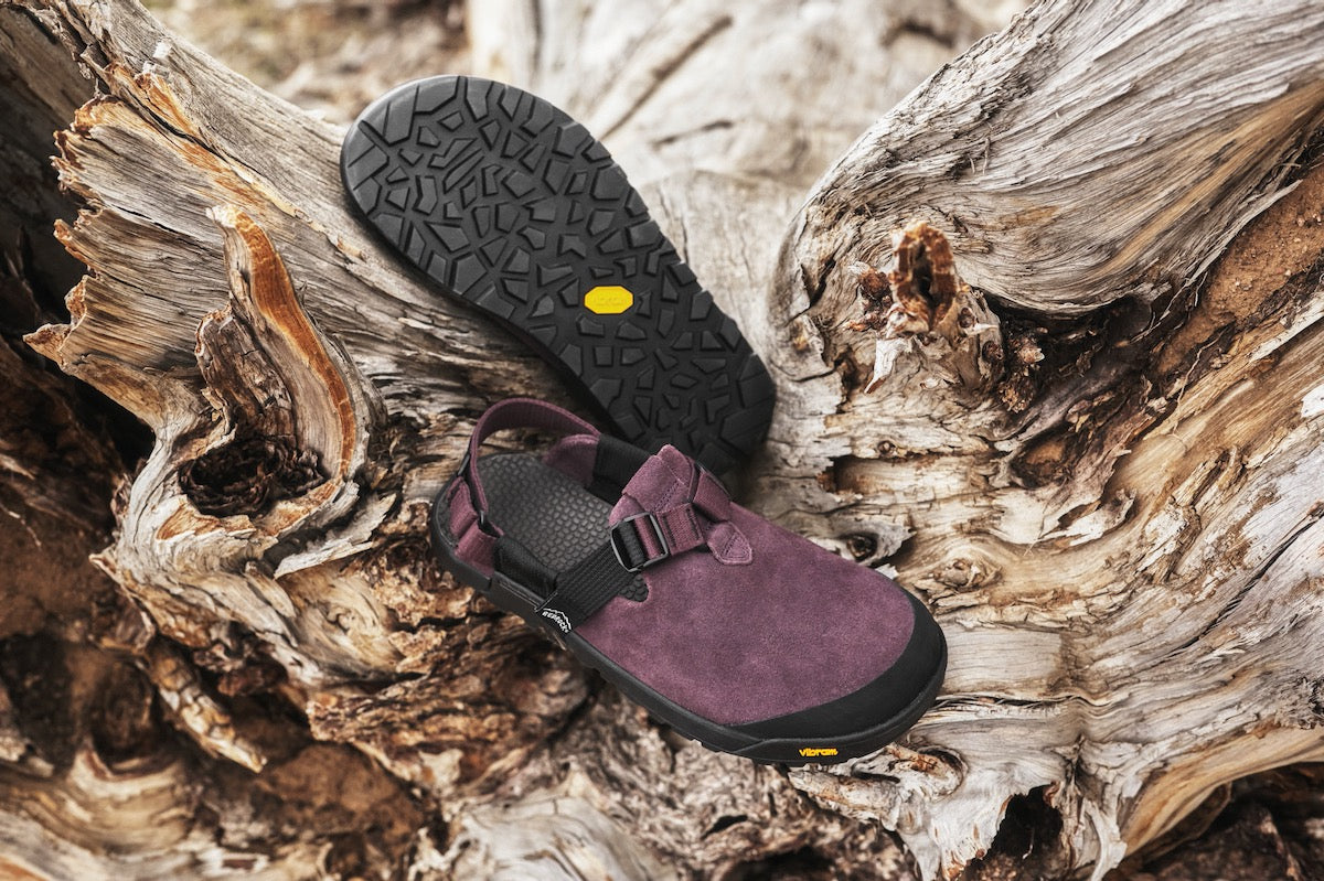 Deep Plum Mountain Clogs displayed on a log in nature