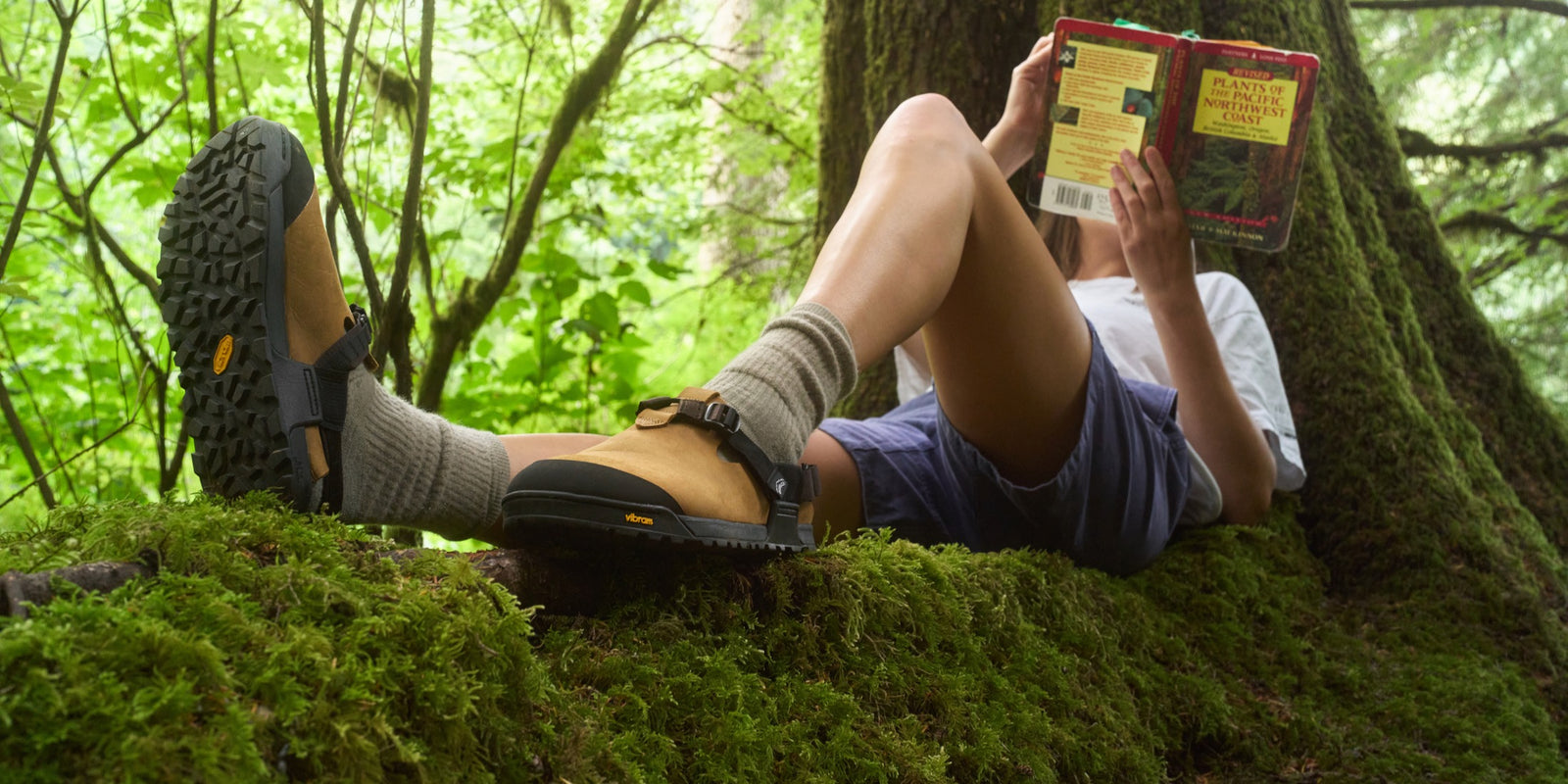 Person lying on a mossy log in a forest, reading a book